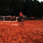 Alger County Fair - Barrel Competition Rider