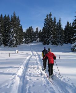 x-c skiing