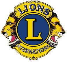 LionsLogoColor