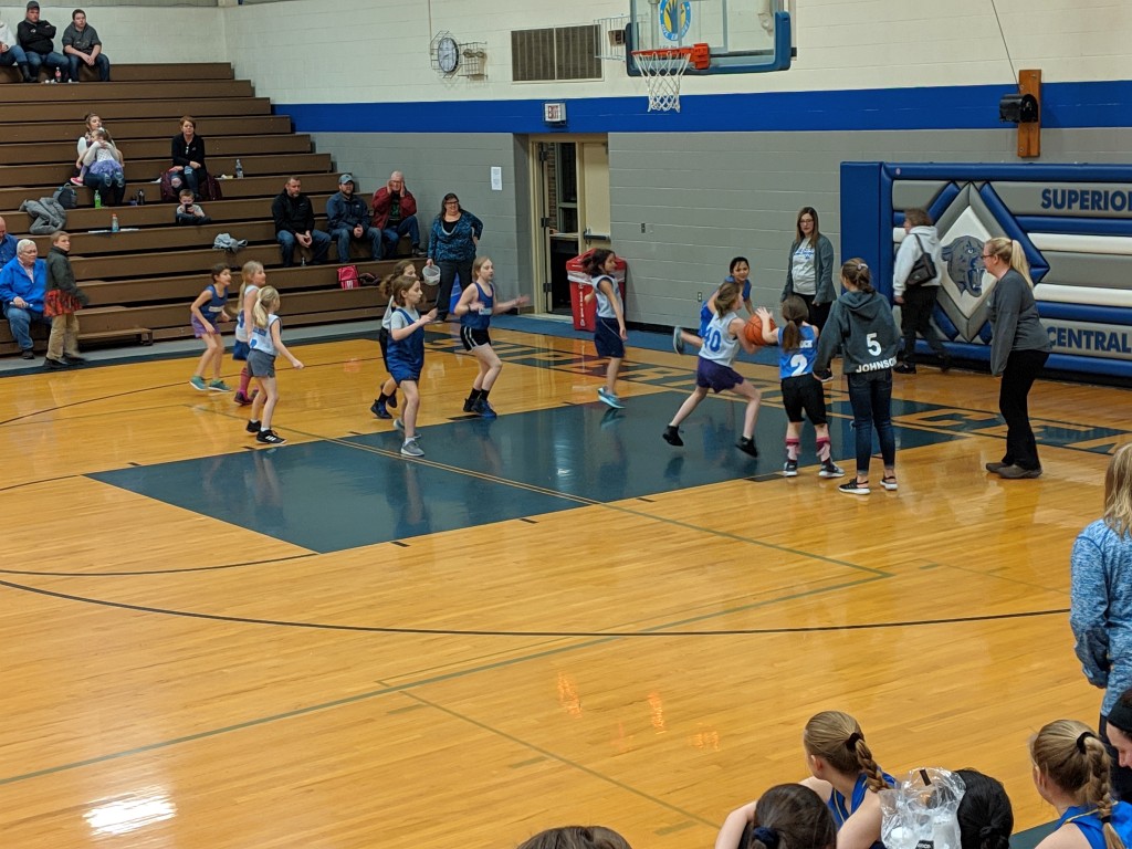 022619_Superior_Central_Cougars_Girls_Basketball_VS_Stevenson_Eagles_WQXO_001