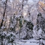 Dead-River-Snow-Photo-Marquette-MI