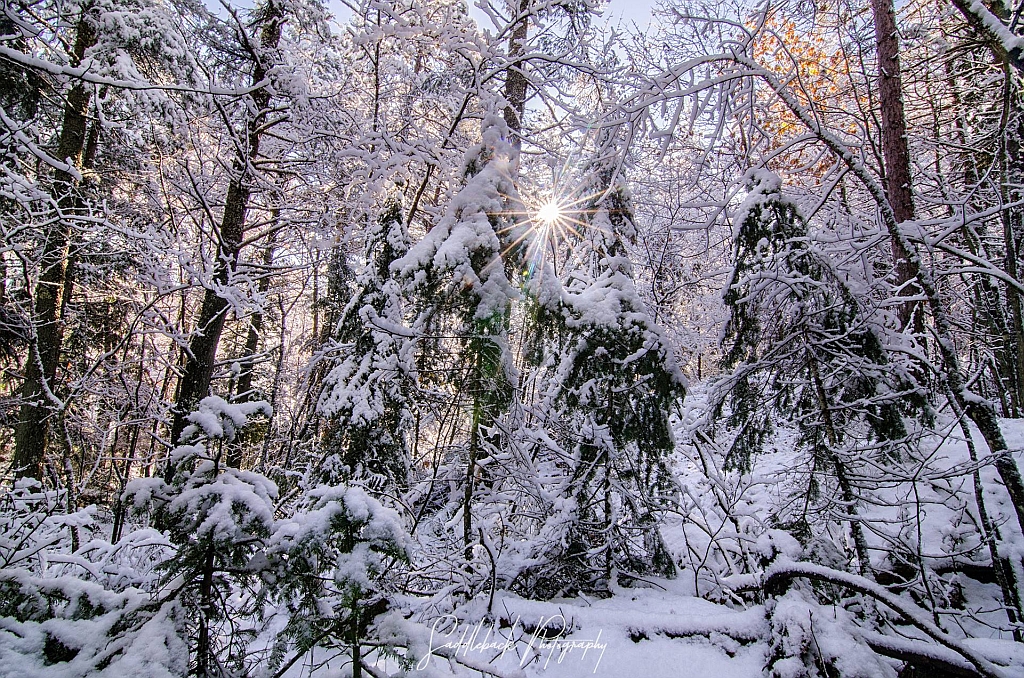 Dead-River-Snow-Photo-Marquette-MI