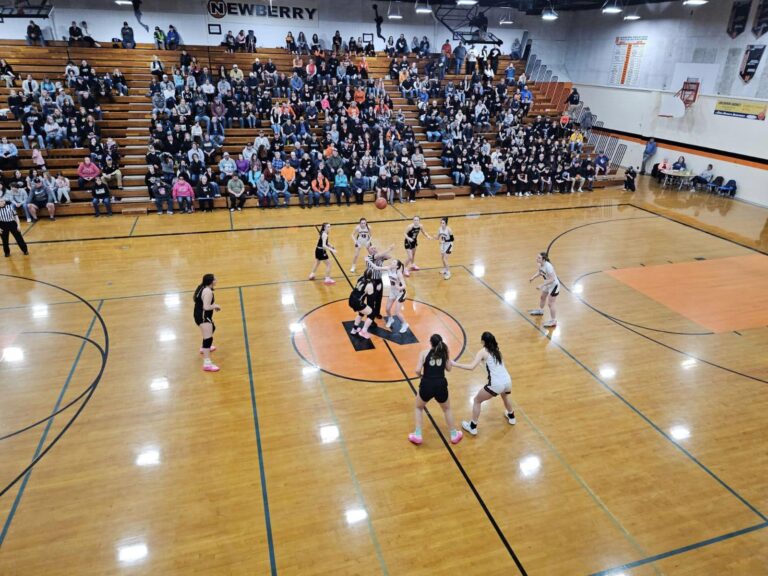 Munising Mustang (33) Girls Basketball vs St. Ignace Saints (54) Regional Final
